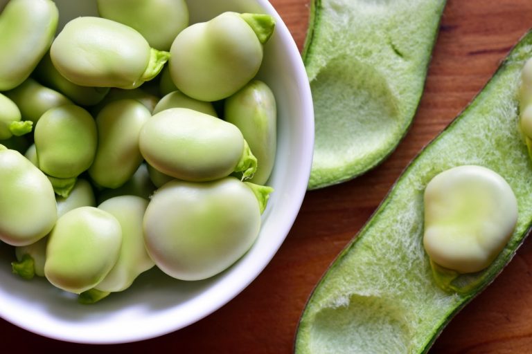 Is fava the new soy? Wet fraction ‘optimises’ fava beans for a climate friendly alternative