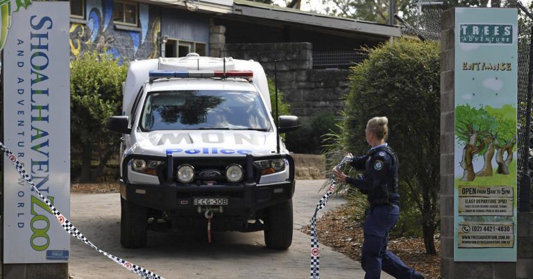 Zookeeper in critical condition after she’s mauled by 2 lions in Australia: “Absolutely harrowing”