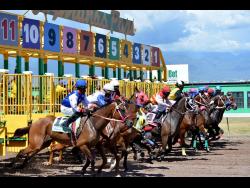 Back on track – God of Love to rule supreme as racing returns to Caymanas Park today | Sports