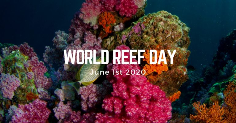 Celebrate World Reef Day 2020