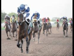 Mighty battle – MAHOGANY, WOW WOW set for thrilling 2000 Guineas clash | Sports