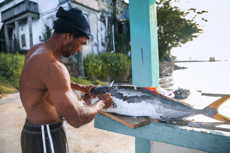 Fish Right, Eat Right: Sustainable Seafood in Belize