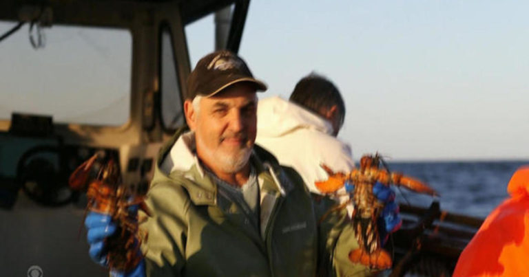 Lobster population grows amid global warming