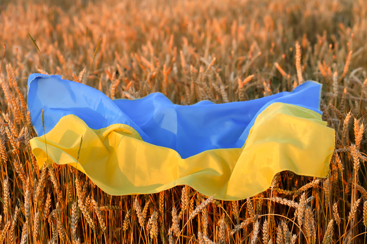 Why the Ukraine conflict could spark ‘dangerous times’ for food prices and food security