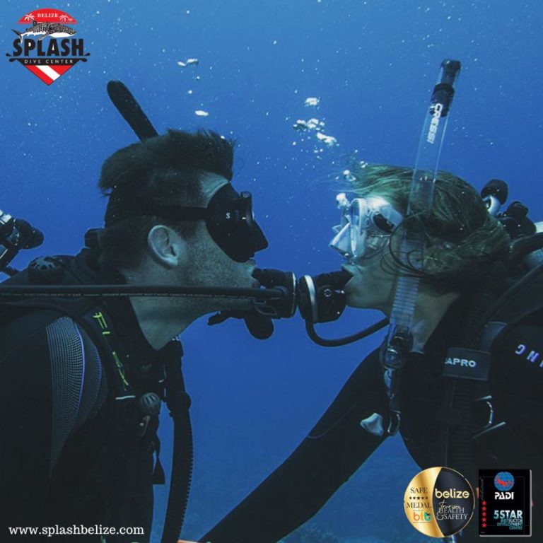 Plan The Coolest Underwater Proposal with Splash Dive Center