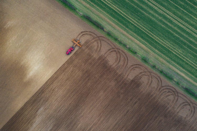 Are we farming in the wrong areas? Relocating croplands can reverse environmental impacts, say researchers