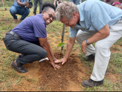 $50 million forest preservation project for Manchester | News