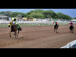 Atomica runs away with Thornbird Stakes | Sports