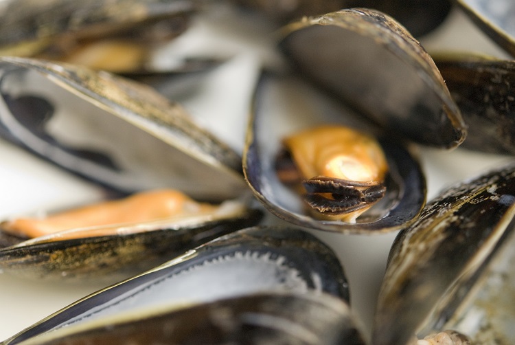 Nomad Foods calls for innovators to help expand use of mussel meat, develop paper-based packaging for frozen foods, and create ‘clean label’ methylcellulose alternatives