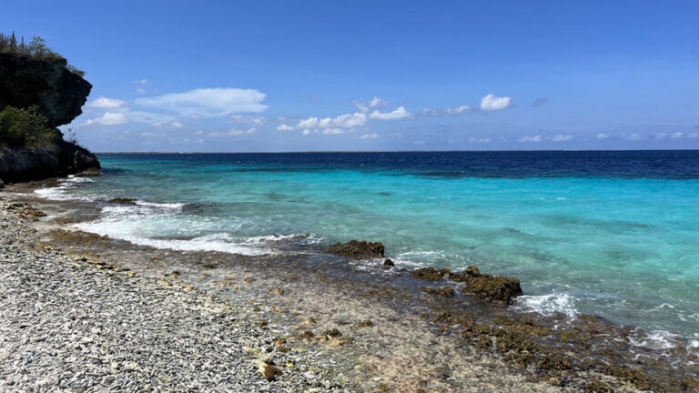 A New Caribbean “Guide” for Coral Reef Restoration