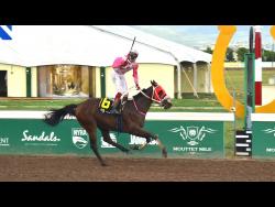 DaCosta holds key to Sunday’s Prince Consort Stakes | Sports