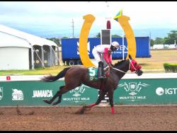 DaCosta completes Guineas Trial double | Sports